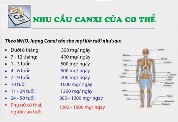 Nhu cầu canxi của cơ thể theo từng độ tuổi