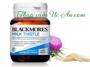 42 viên uống mát gan giải độc gan Blackmores Milk Thistle.