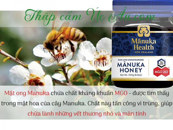 Bảo vệ sức khỏe với mật ong Manuka Health 263+ chính hãng giá tốt.