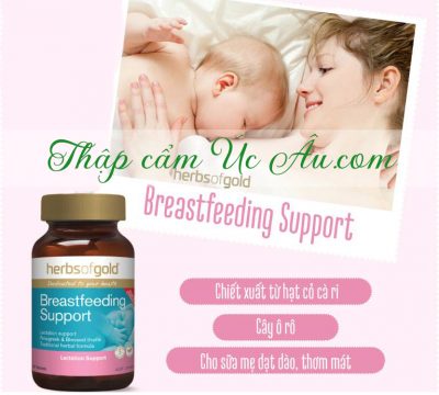 Viên uống kích sữa Herbs Of Gold Breastfeeding Support 60 viên.