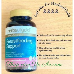 60 viên uống tăng sữa Herbs Of Gold Breastfeeding Support giá tốt.