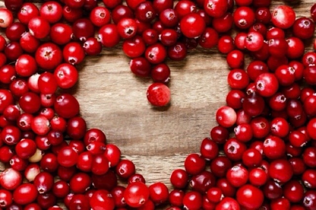 Cranberry quả việt quất đỏ
