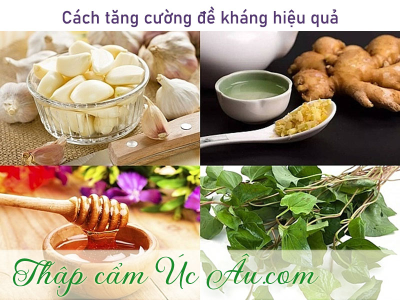 Kháng sinh tự nhiên tăng cường sức khoẻ.